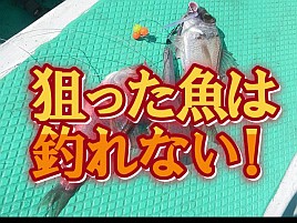 【動画】シロムツならって考えが間違ってるんだよねぇ～ｗ