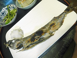 カゴカマスの塩焼きは釣魚焼き魚部門で結構上位だと思うぞ