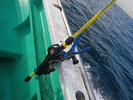 ガツ～ンと穂先持っていく夏秋の癒しの釣魚アカハタ初挑戦