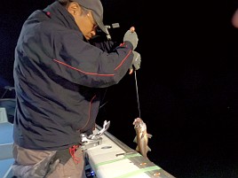 小雨＆風8m予報…半夜クロムツは投入安全2本針にしよかな
