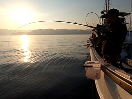 へたさん来たらやっぱり…でもカイワリ3匹で痛風には十分