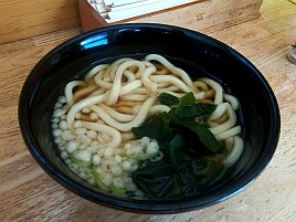 津波注意報の中白間津まで行ってうどん食って帰ってきたよ