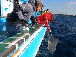 役満かも？な引きはサバのみで。またも白ドラ（クロムツ）3