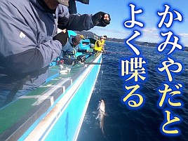 【動画】人見知りと言っても信じてもらえないけど本当です