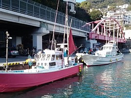 東京湾がダメなら伊豆山・熱海第十喜久丸のメバル気になる