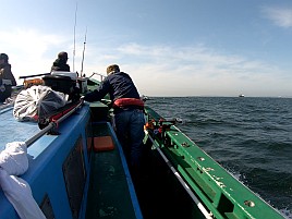 釣れるイメージ全く湧ず。マゴチで2024年初の完全ボウズ