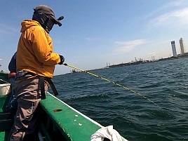 釣れるイメージ全く湧ず。マゴチで2024年初の完全ボウズ