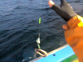 シロギスは三歩進んで五歩さがりアナゴは二歩進んだら迷子