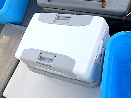 稲取沖第1投で城ケ島以西で“アレ”が釣れない呪い解呪成功