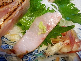 稲取沖第1投で城ケ島以西で“アレ”が釣れない呪い解呪成功