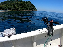 前半はサバに混じってアジで後半はアジに混じってサバ地獄