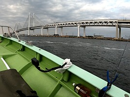 特餌忘れ凪のはずが時化でメバル釣れずなんだか不本意な…