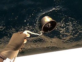 稲取沖第1投で城ケ島以西で“アレ”が釣れない呪い解呪成功