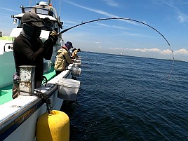 猿島沖で下手をキワめる！ 午後アジ5匹、夜メバル6匹のみ!!