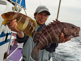 松本圭一名人の城ヶ島沖でのハタの釣果がすごく羨ましい!!