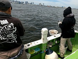 LTアジで本物イカ短と偽物エサダマって釣果に差があるの？