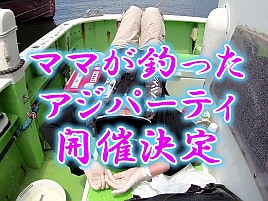 【動画】ママが釣ったアジと極上の夏酒でパーティするよ