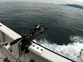 40センチのデカイワリ含む5匹で夏の美酒佳肴作戦は大成功