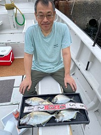 40センチのデカイワリ含む5匹で夏の美酒佳肴作戦は大成功