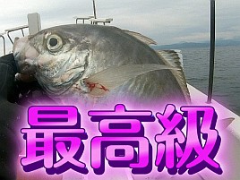 【動画】型は選べない、そう慰められていたのは過去の話ｗ
