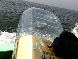 プルルと魚信るが掛からない!? でも44匹でキス天食べ放題
