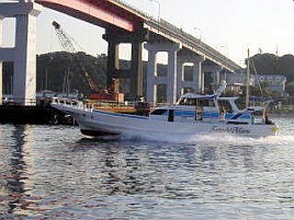 鴨川のフラッシャーサビキでのクロムツ初挑戦なわけだが…