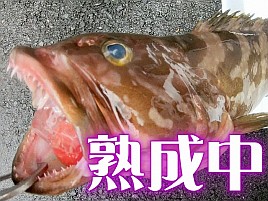 【動画】暑さの次に伝わりにくいのは船酔いのつらさかも？
