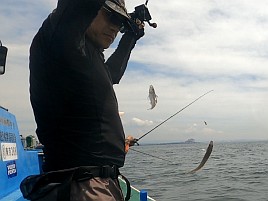あまりの暑さに船上では～ひ～ふ～。それでもシロギス40匹