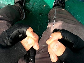 あまりの暑さに船上では～ひ～ふ～。それでもシロギス40匹