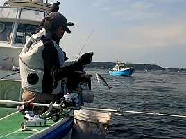 冷蔵服3のおかげで集中力途切れず40cm級の猿大アジゲット