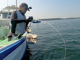 冷蔵服3のおかげで集中力途切れず40cm級の猿大アジゲット
