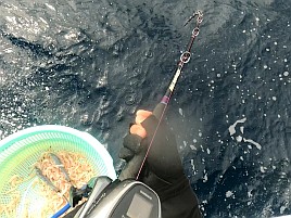 3年連続ノーピクではなかったものの4バラシでノーカツオ