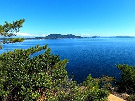 【番外編】倉橋島で巨大アナゴしらす天丼＆激旨お好み焼き