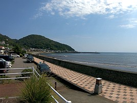 ウィリーには塩対応。オキアミ一粒でこつこつカイワリ8匹