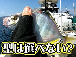 【動画】そこそこ釣れたけれど満足に至らずは悩ましいのだ