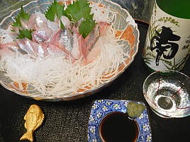 今後1種類の魚しか釣っちゃいけないならカイワリを選ぶよ