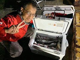 時化で眩暈が…それでも頑張って萬栄丸半夜クロムツ20匹♪