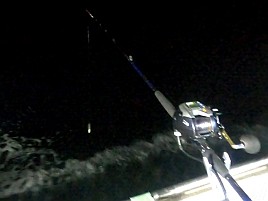 時化で眩暈が…それでも頑張って萬栄丸半夜クロムツ20匹♪