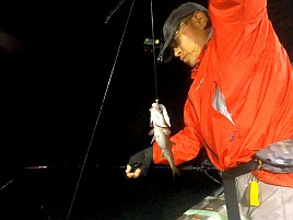 時化で眩暈が…それでも頑張って萬栄丸半夜クロムツ20匹♪
