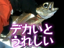 【動画】いっぱい釣れたけど船酔いでテンションは低めなの