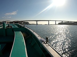 フグとベラに邪魔されて城ヶ島沖アカハタに癒してもらえず