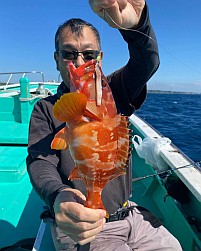 フグとベラに邪魔されて城ヶ島沖アカハタに癒してもらえず