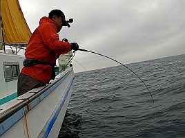 キダイ地獄に堕ちアマダイ大撃沈。カイワリにギリ救われる