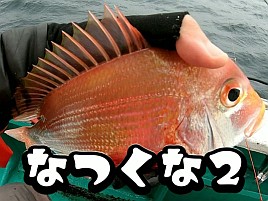 【動画】キダイなんて見たくもないのに見ないと編集できん