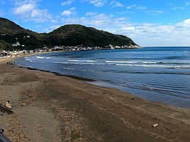 シャクれど気配なく撃沈覚悟も突然入れパク!! カイワリ16匹