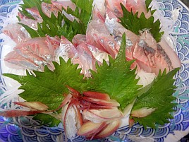 やっぱり宇佐美のカイワリは一味違うってのは気のせいかな