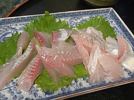 やっぱり宇佐美のカイワリは一味違うってのは気のせいかな
