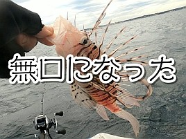 【動画】懲りはする…でもすぐに忘れる人々が釣りをする？