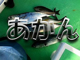 【動画】釣りをしたのに心が荒んだ…そんな日もあるんだよ