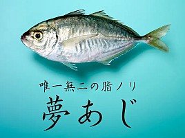 「夢あじ」か…カイワリを連想させる名じゃなくて残念かも